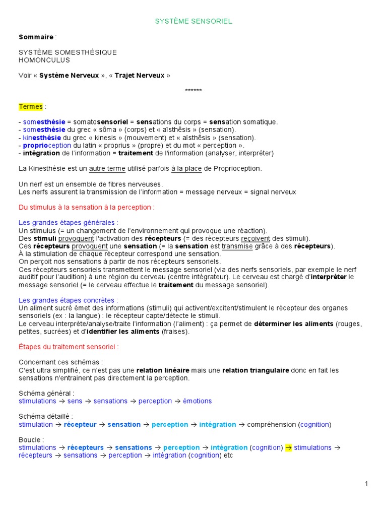 Anatomie du Système Sensoriel | PDF | Sens (physiologie) | Somesthésie