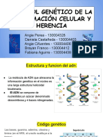 Control Genético Celular y Herencia