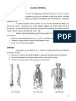 Columna Vertebral PDF