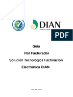 Guía Rol Facturador DIAN