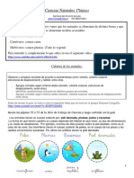 Ciencias Naturales 1ªbàsico20al24dejulio