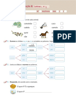 Consolidação Português