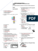 Examen de Nivel II MMMPA 2015-10