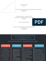 Mapa Conceptual de Las Principales Corrientes Del Pensamiento Sociológico Latinoamericano