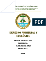 Derecho Ambiental y Ecologico - Pilar