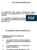 Riesgos y Seguros. Seguro Lucro Cesante.