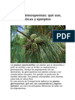 Plantas gimnospermas: características, ejemplos y diferencias con las angiospermas