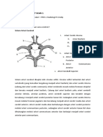 Tugas Ujian Divisi CT Scan 1