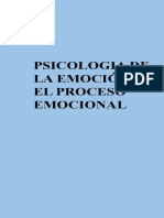 Proceso Emocional