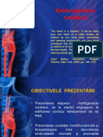 3. Embriogeneza cardiaca (1)