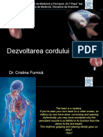 curs romana an I sem II Dezvoltare cord (1).pptx