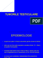 Tumorile Testiculare