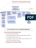 Wilmonts Pharmacy Project Organization Structure