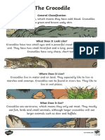 Au L 593 The Crocodile Information Report Writing Sample - Ver - 3 PDF