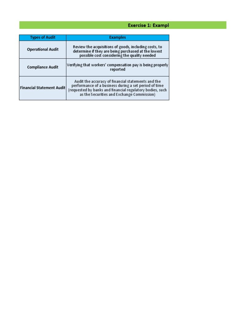 Three Types of Audit Examples | PDF