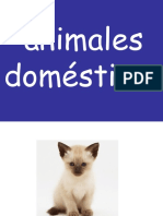 1 Animales Domc3a9sticos