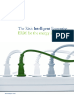 The Risk Intelligent Enterprise: ERM For The Energy Industry