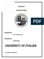 University of Punjab: Assignment