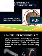 Penyuluhan Leptospirosis Dzerlin