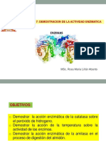 PRACTICA 7 BIOL  ESAM.pdf