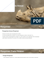 Rhino Rhinoceros Head Shot PowerPoint Templates Widescreen