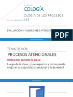 PROCESOS ATENCIÓNALES.pdf