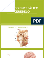 CLASE 7 Tronco encefálico y cerebelo (1).pdf