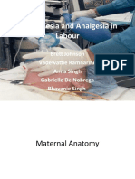 Anaesthesia and Analgesia in Labour: Brett Johnson Vadewattie Ramnarine Anna Singh Gabrielle de Nobrega Bhavanie Singh