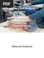 Subarachnoid Block Overview | PDF | Anesthesia | Surgery