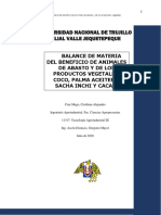 Balance de Materia (Cruz Mego) PDF