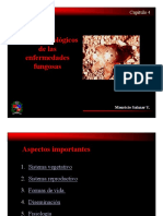 Aspectos de Las Enfermedades Fungosas PDF