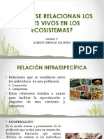 Semana 3 PDF