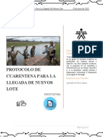 Protocolo de Cuarentena PDF