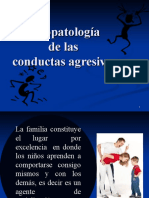 Psicopatologia de Las Conductas Agresivas