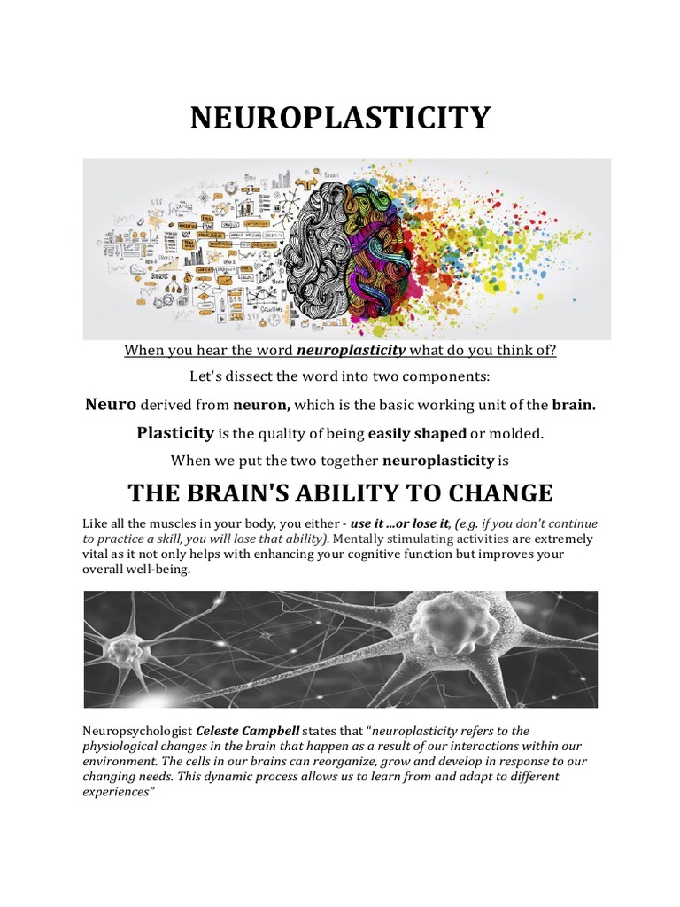 Understanding Neuroplasticity Benefits | PDF | Neuroplasticity | Neuron