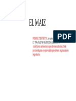 El Maiz