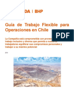 Guía de Trabajo Flexible para Operaciones en Chile - Escondida PDF