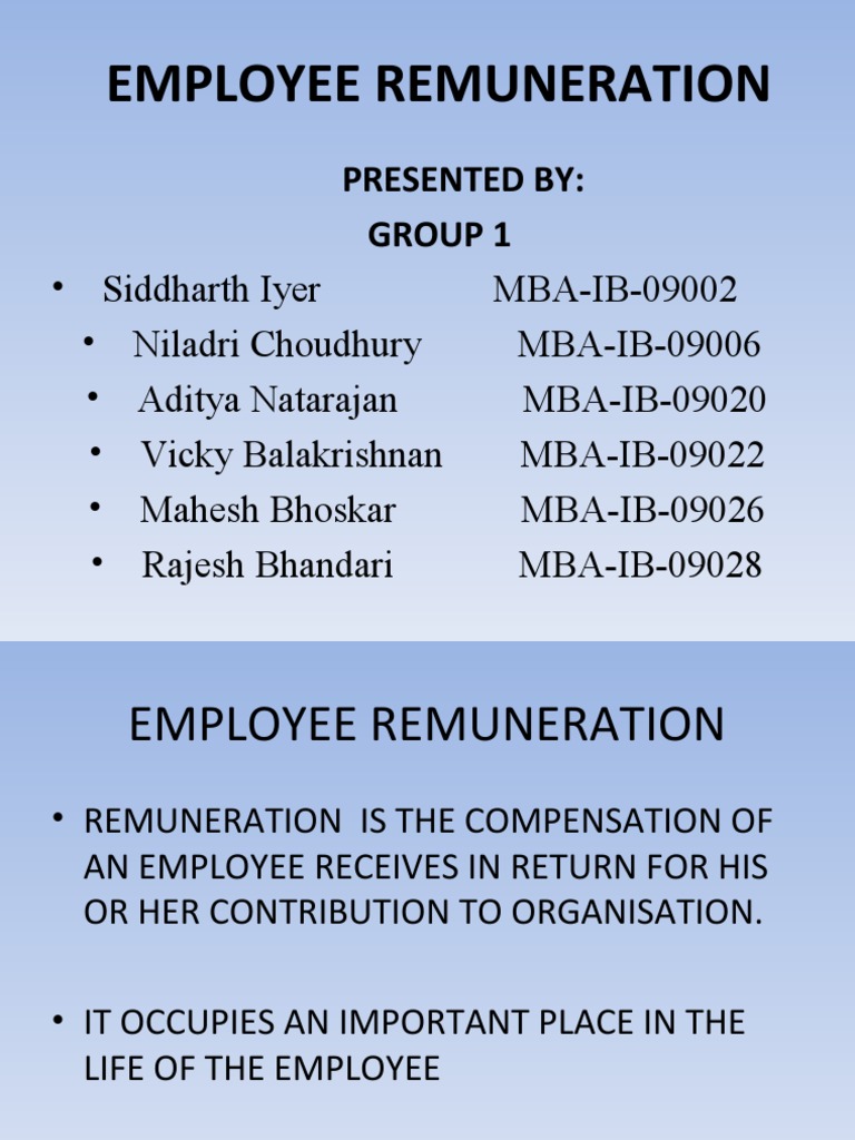 Employee Remuneration Overview | PDF | Compensation And Benefits ...