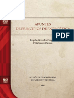 Apuntes de Principios de Energetica - Ocr PDF