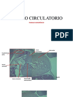 PRACTICA_UNIDAD 3