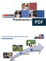 Planificacion Curricular - Secundaria - DESP