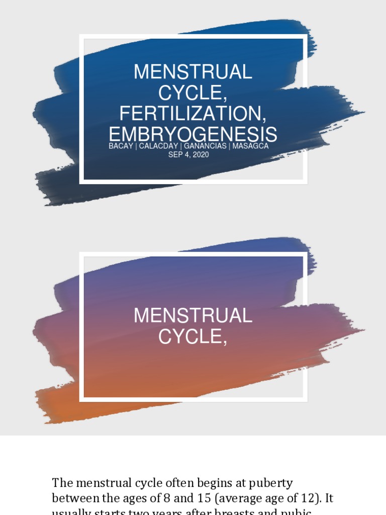 Menstrual Cycle and Fertilization Overview | PDF | Luteinizing Hormone ...