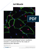 Skeletal Muscle