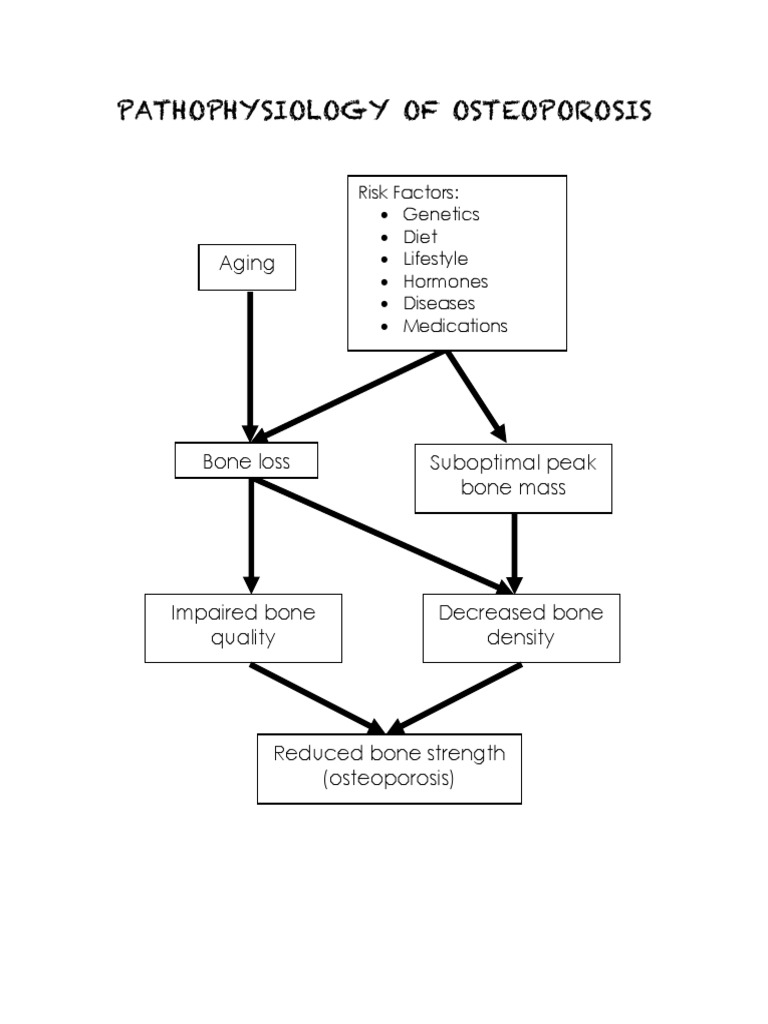 Osteoporosis Pathophysiology Flowchart | PDF | Wellness