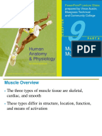 9 Muscle Teaching Slides PDF