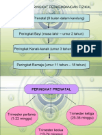 Peringkat Perkembangan Fizikal (Prenatal, Bayi, Kanak2 & Remaja)