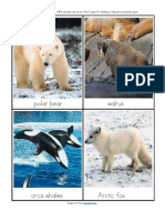 Arctic Animals flashcards.pdf