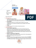 Anatomi Dan Fisiologi Sistem Pernapasan 2