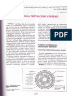 07 Fyziológia Tráviaceho Systému (str.275-300)