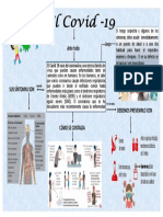 Covid19 síntomas y prevención